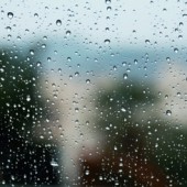 Làm gì ở Tokyo vào một ngày mưa?